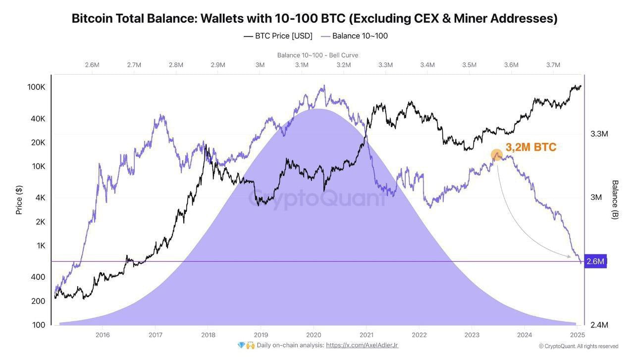 Bitcoin-Wale verkaufen: 600.000 BTC weniger auf Adressen mit 10–100 BTC