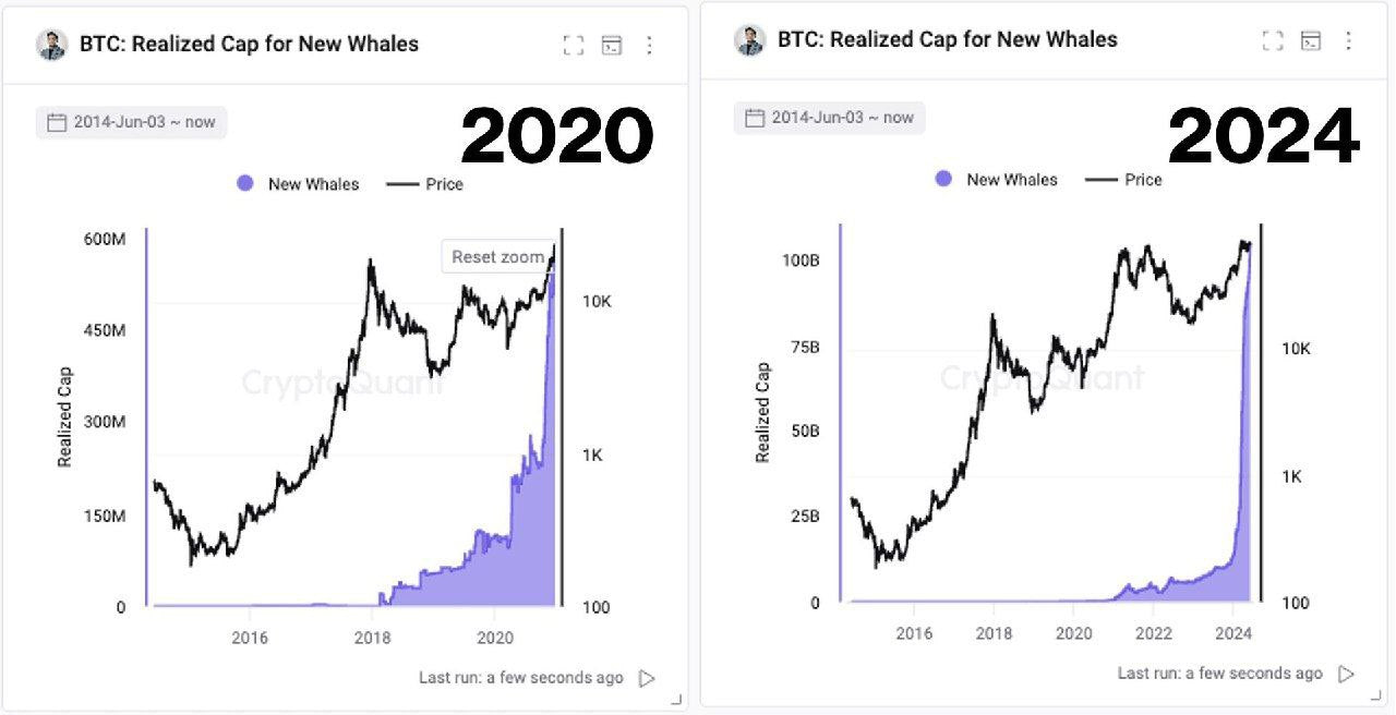 BTC-Wale wiederholen die Situation von 2020: Ein Blick auf die aktuelle Netzwerkaktivität